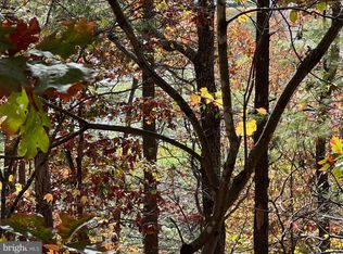 0 Brenda Ln, Basye, VA 22810