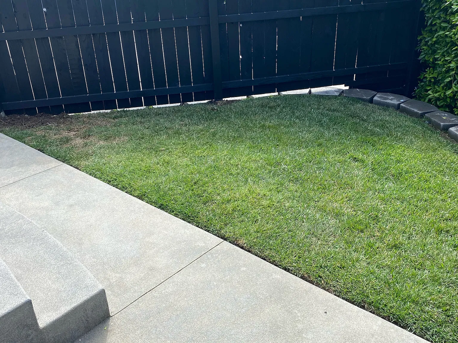 Studio, 400 sqft, $2,195 — Photo 2
