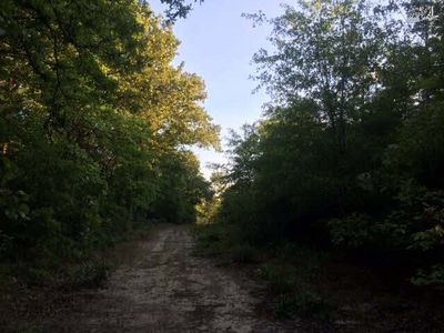 0 Fire Tower Rd, Springfield, SC, 29146