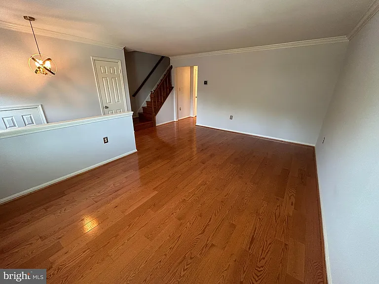14537 Creek Branch Ct — Photo 3