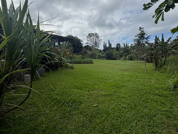 3rd image of 20 Leahi Pl