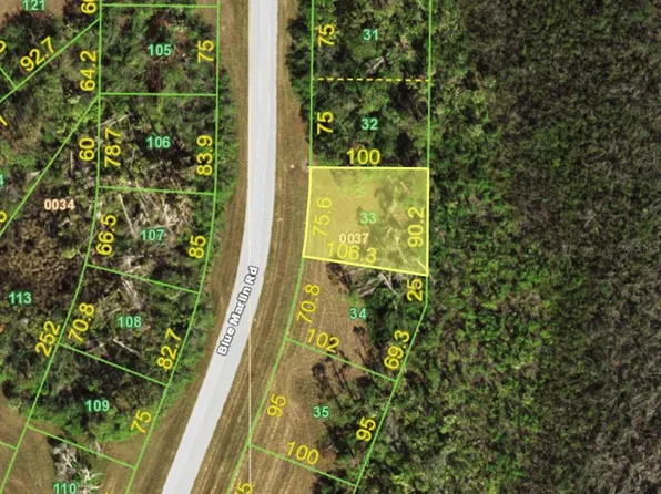 12532 BLUE MARLIN ROAD LOT 33, PLACIDA, FL 33946