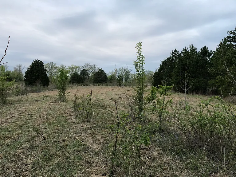 940 County Road 534 — Photo 13