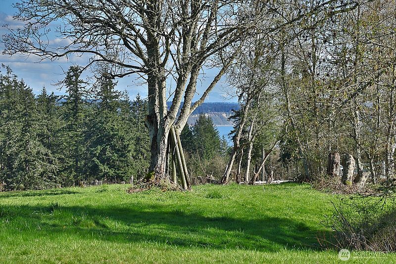3rd image of 0 Panorama Drive