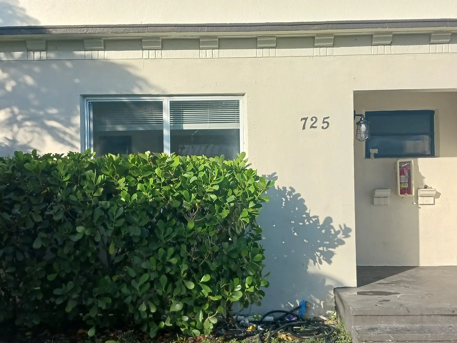 1 bed, 800 sqft, $1,500 — Photo 4