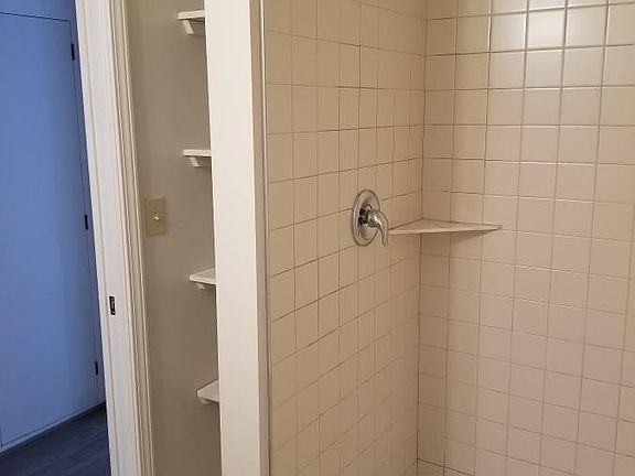 Master Bathroom Pic 2