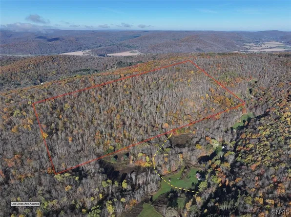Flint Hollow Rd, Great Valley, NY 14741