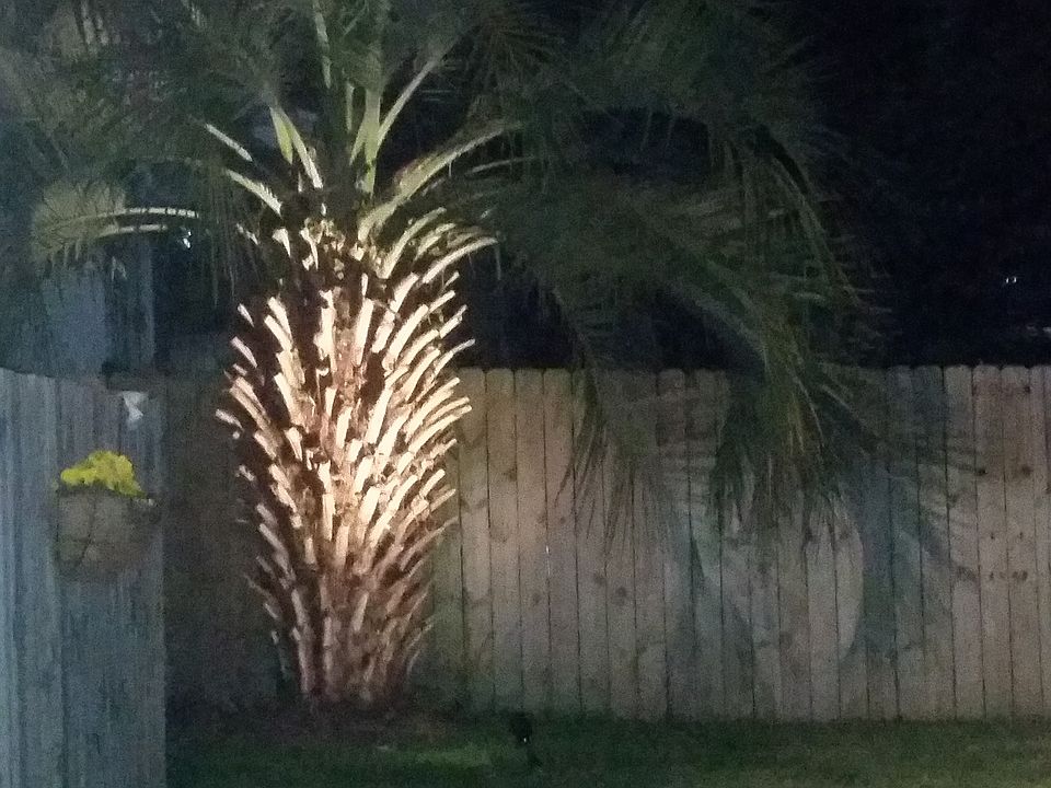 2nd image of 1734 Kissingbower Rd