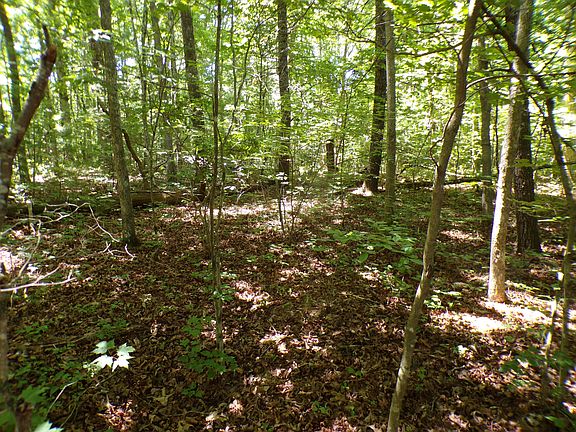 3rd image of 0 Brown Creek Dr #194