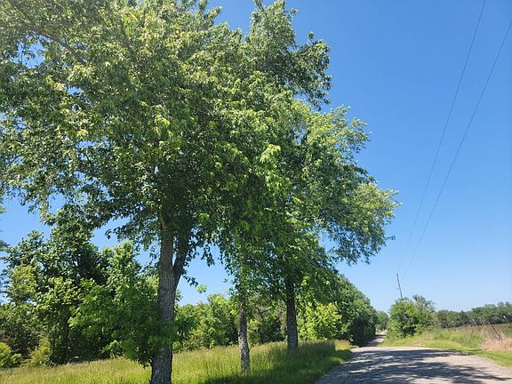 4th image of 335 Brightstone Rd