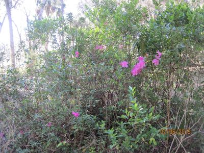 12088 Wekiwa Cir, Dunnellon, FL, 34432