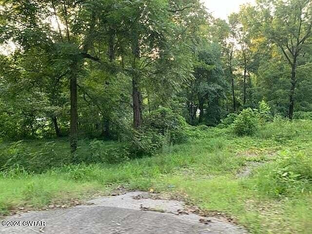 2nd image of 2959 Christmasville Rd