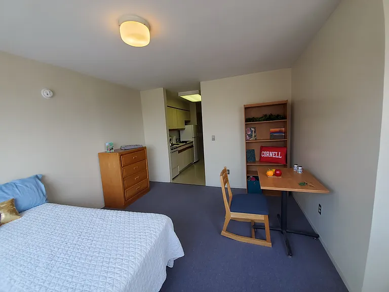 Collegetown Court, 208 Dryden Road — Photo 49