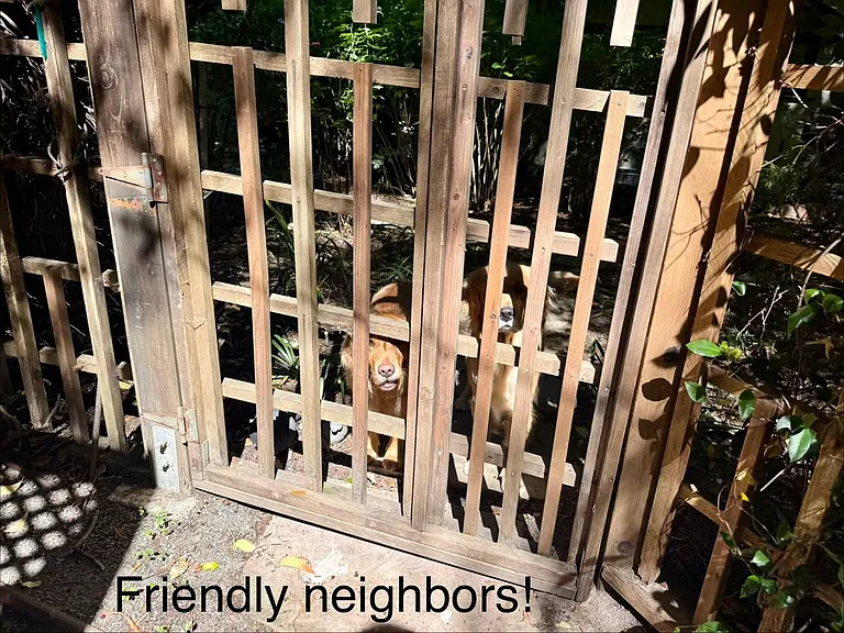 271 Madrone Ave #A — Photo 25