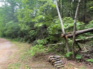 10 Birds Creek Rd LOT 10, Sevierville, TN 37876