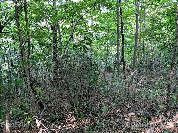 5th image of 37 Galax Ln #5