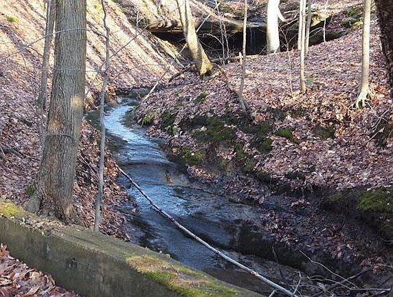5th image of 13111 Stoney Springs Dr