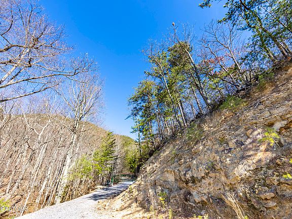 5th image of Scout Way