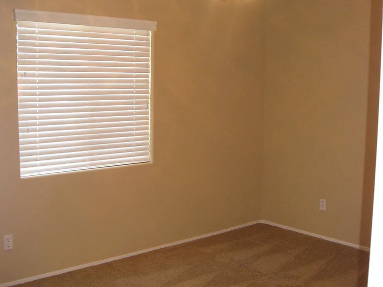 43350 W Elizabeth Ave — Photo 11