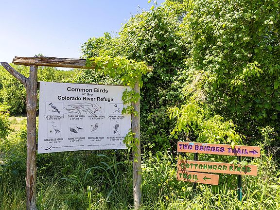 5th image of 0 Manawianui Dr