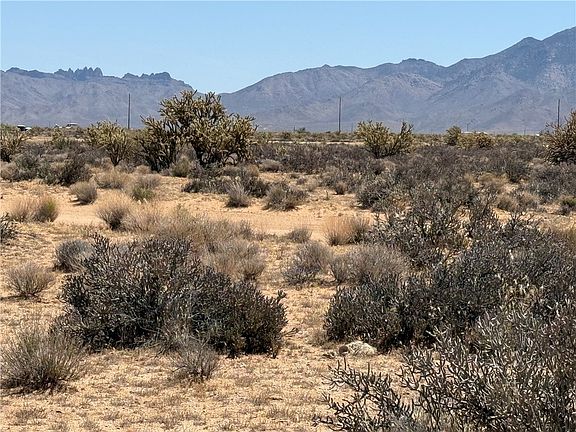 3rd image of 340-13-087 Silver Sage