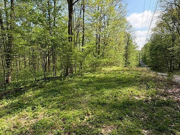 5th image of Coon Path Rd