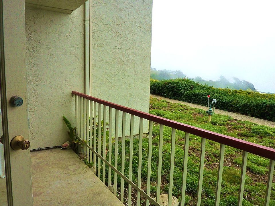 Patio View from Living Room