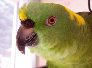 4823 Robin St, Coplay, PA 18037