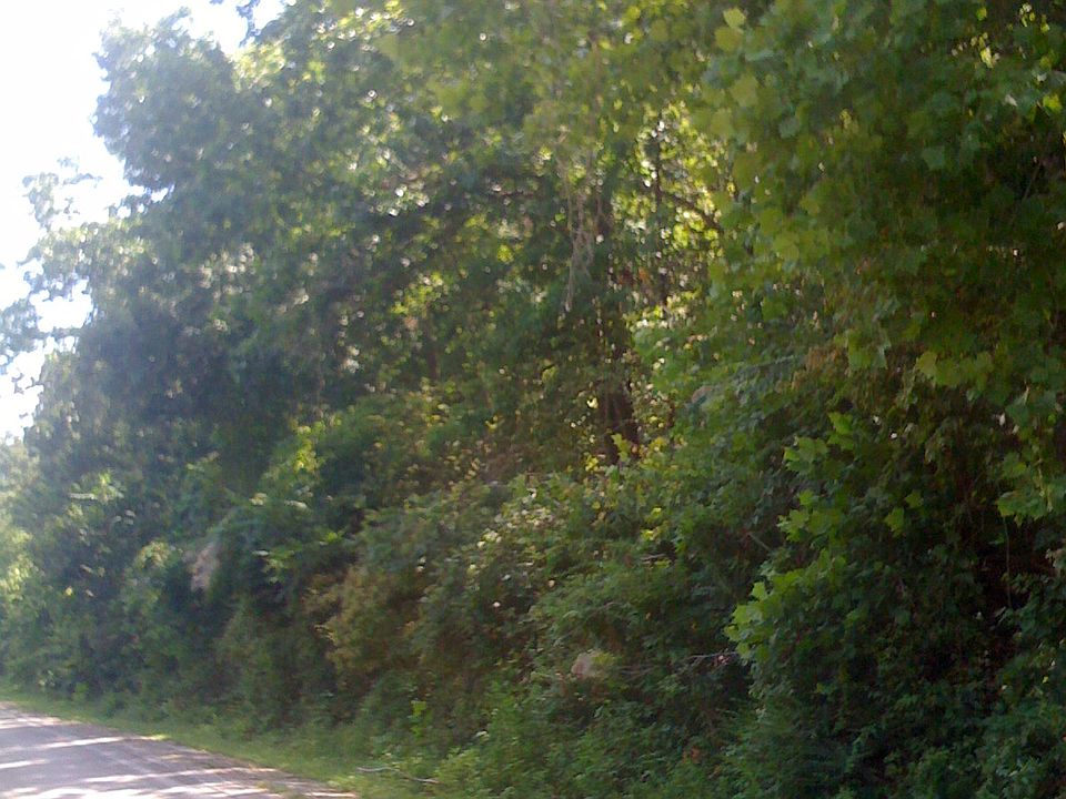 2nd image of Old Highway 68