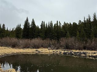 91 Lake Road, Idaho Springs, CO 80452