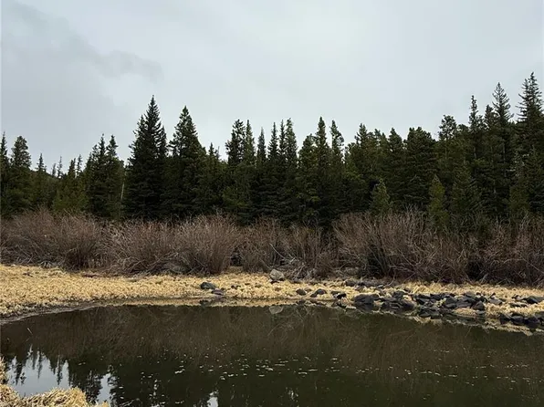 91 Lake Road, Idaho Springs, CO 80452