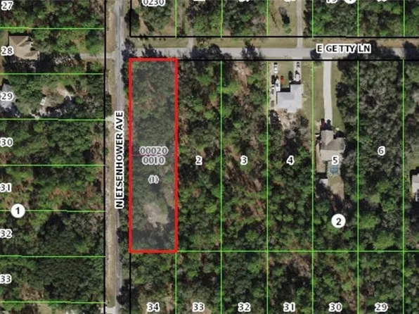 3541 E Getty Ln, Hernando, FL 34442