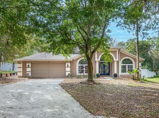 704 Rocky Mountain Ct, Valrico, FL 33594