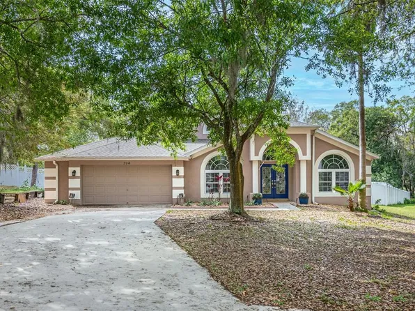 704 Rocky Mountain Ct, Valrico, FL 33594