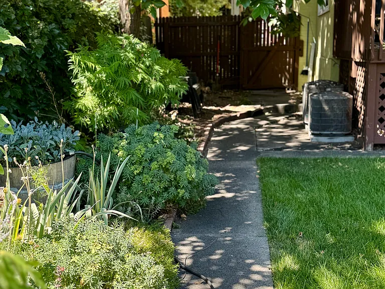 garden and path from garage