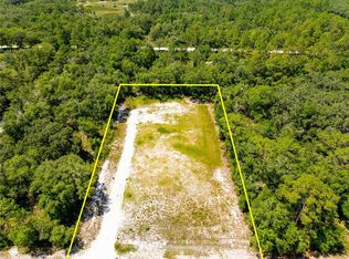 35366 Peanut Dr #3, Webster, FL 33597