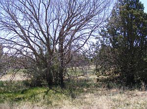 4th image of 18 Quail Hollow Dr