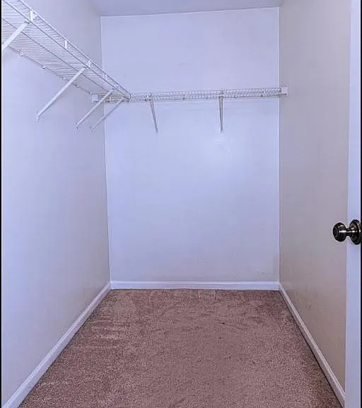 2920 Bartlett Ct — Photo 17