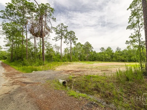 0 Zettler Road, Springfield, GA 31329