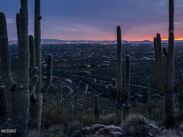 12969 E Cabeza De Vaca Lot D, Tucson, AZ 85749