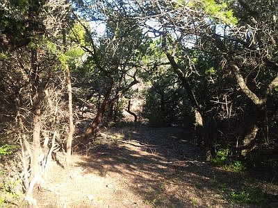 3rd image of 11000 Tangleridge Cir
