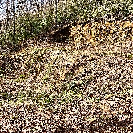 5th image of 13 Big Oak Dr