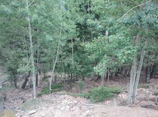 13362 Shiloh Dr, Conifer, CO 80433