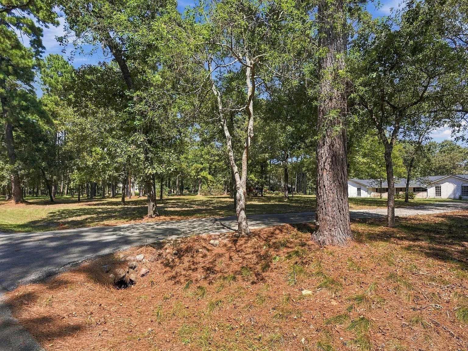 4 bed, 2.5 bath, 2078 sqft, $3,000 — Photo 3
