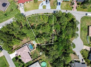 99 Princess Ruth Ln LOT 13, Palm Coast, FL 32164