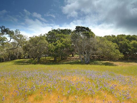 5th image of 25850 Via Malpaso Lot 69