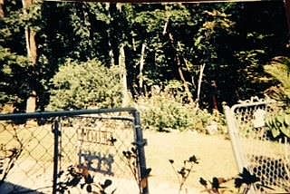 4th image of 795 Baileys Mountain Dr