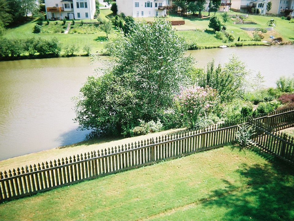 Back Yard South