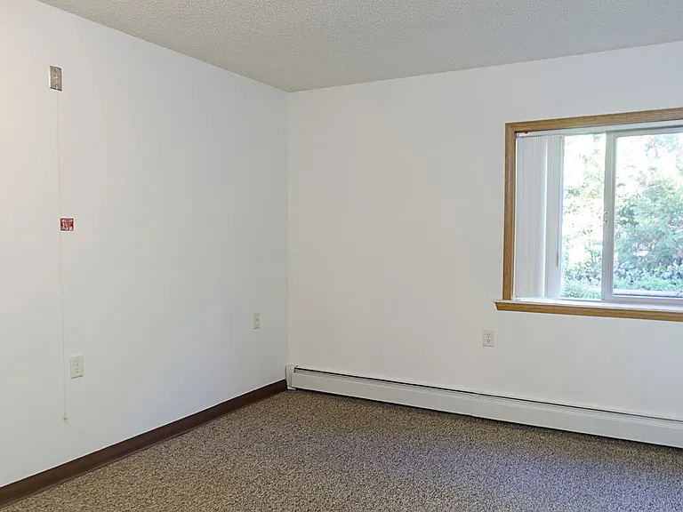 1119 Roseland Dr — Photo 23