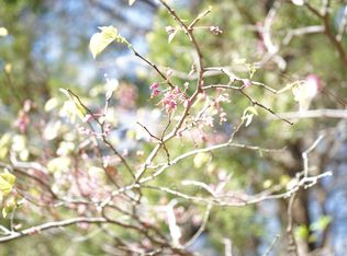 LOT 6 Stone Rd, Rockaway Beach, MO 65740